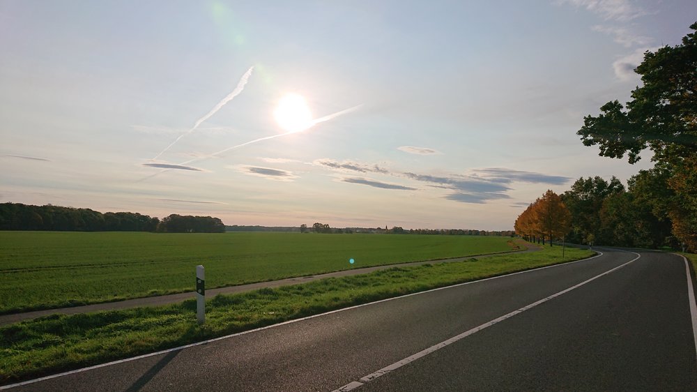 DSC_1011.thumb.JPG.770f6abb2cc50895252ccbfc854e1a91.JPG