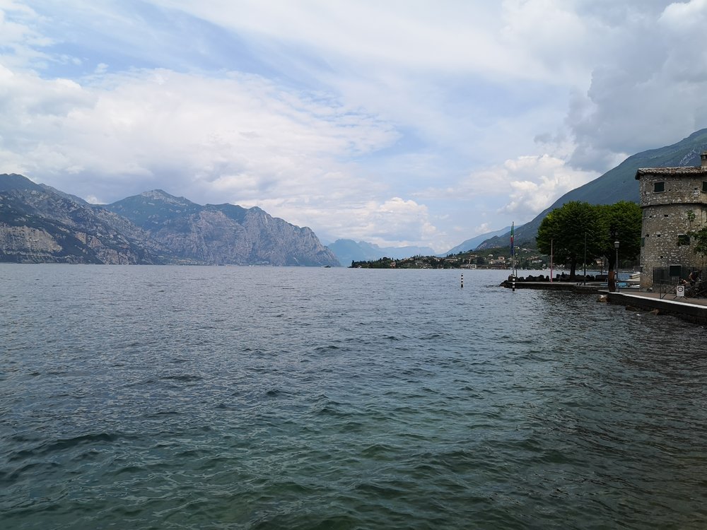 IMG_20210609_123540.jpg