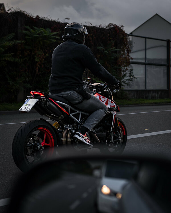 duc_2.jpg