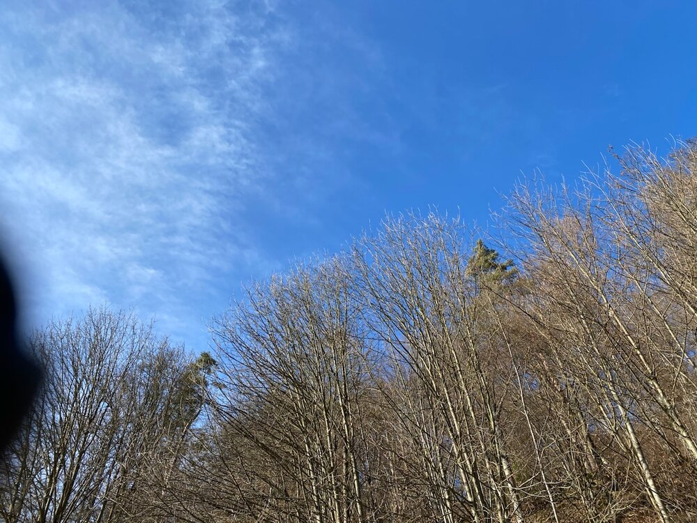 6F031455-59F1-4552-BFA5-419C4ADD6BE2.jpeg