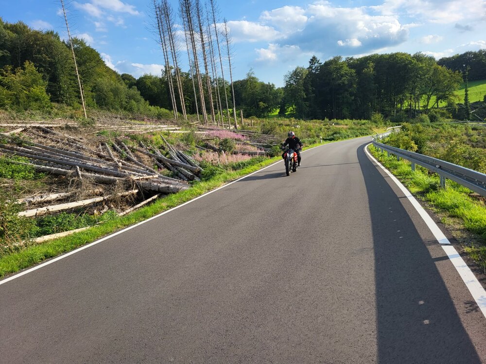 WhatsApp Image 2023-08-09 at 20.55.09.jpeg