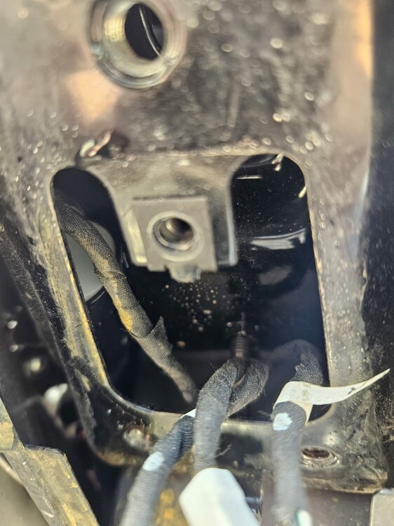 WhatsApp Bild 2024-01-14 um 14.40.51_8f0da6b6.jpg