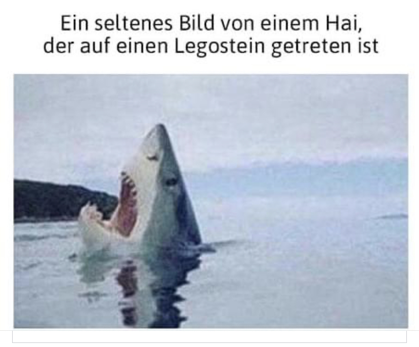 IMG_2834.jpeg.82f6c721d70885afbfe2a4478d2a7753.jpeg