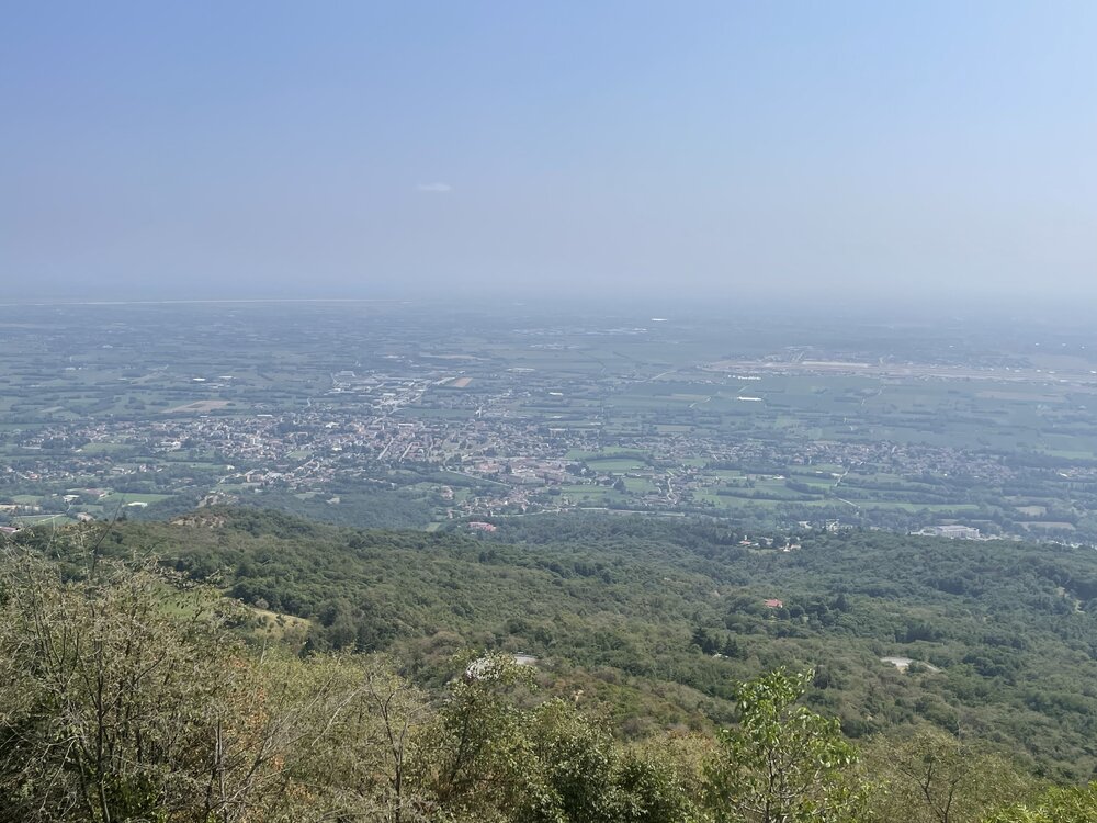 F1CD1D08-94D7-4214-BBEC-D6D55E0E2495.jpeg