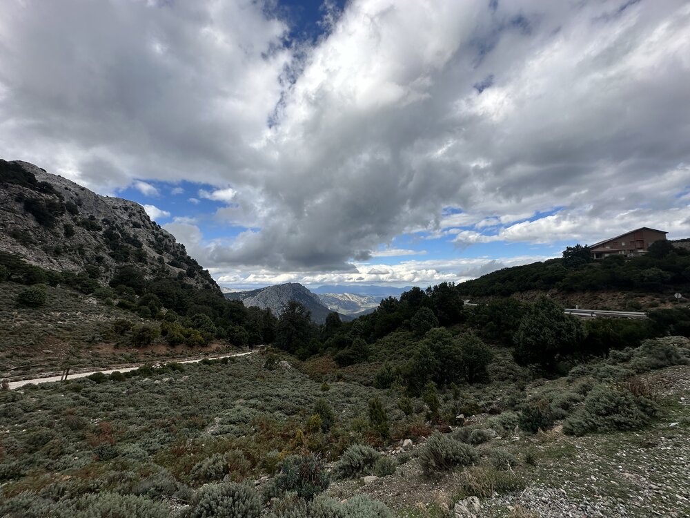 IMG_1733.jpeg