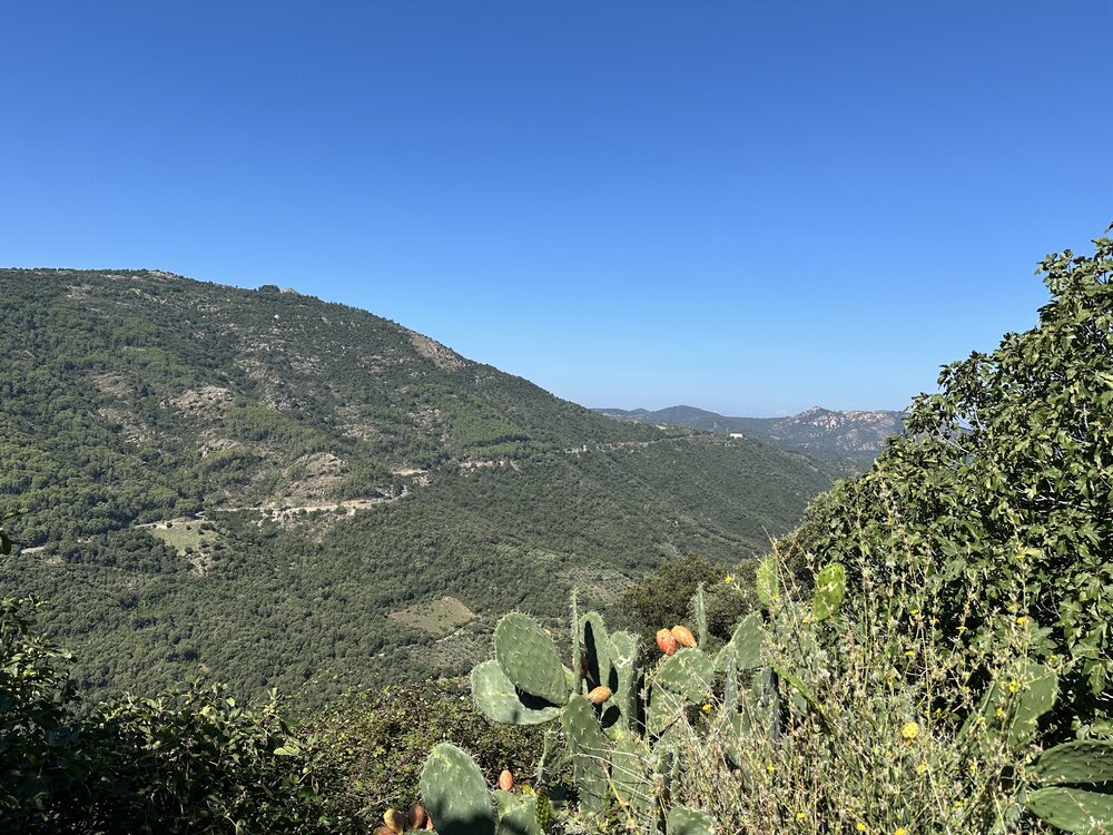 IMG_1916.jpeg