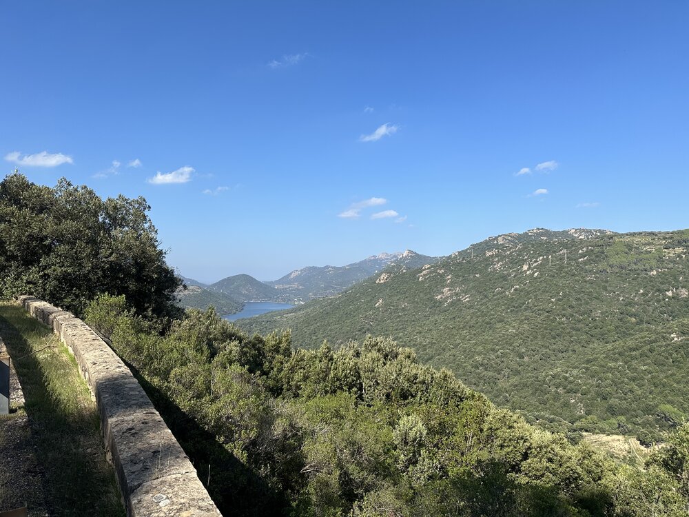 IMG_1936.jpeg