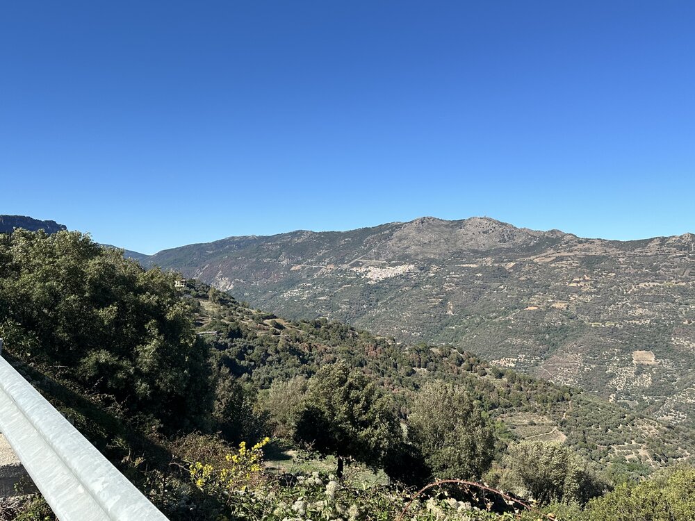 IMG_2072.jpeg