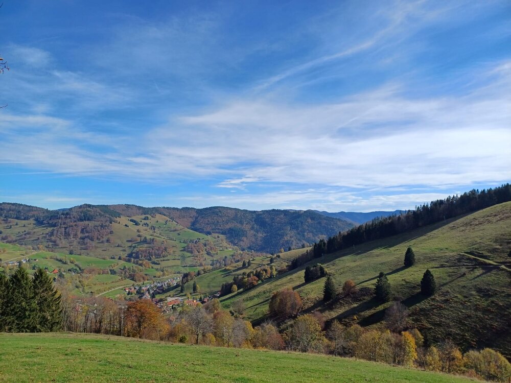 IMG-20241026-WA0008.thumb.jpg.96ac63d9e3e1a346fb160803ca450a99.jpg