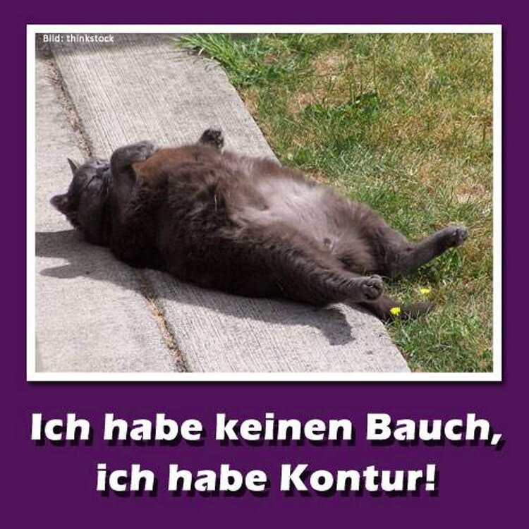 kontur.jpg
