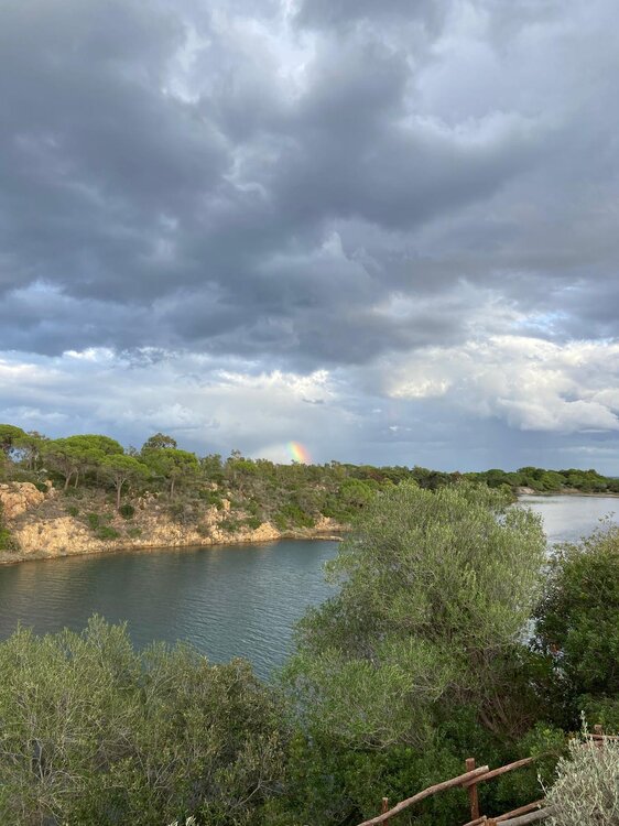 WhatsApp Image 2025-11-04 at 07.53.52 (1).jpeg