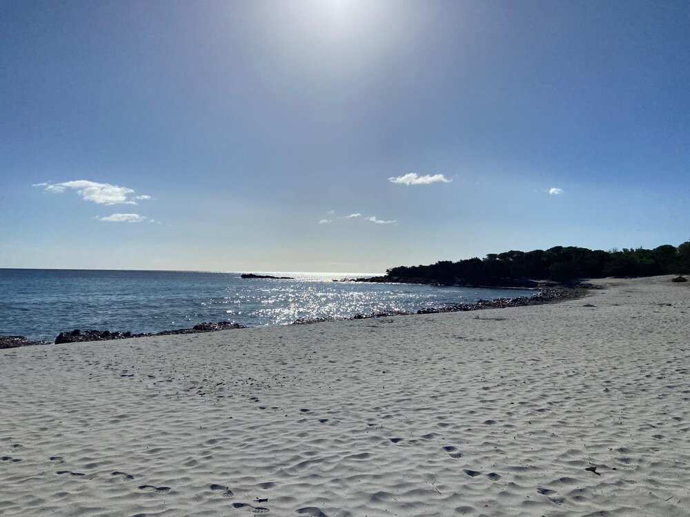 WhatsApp Image 2025-11-04 at 07.53.52.jpeg